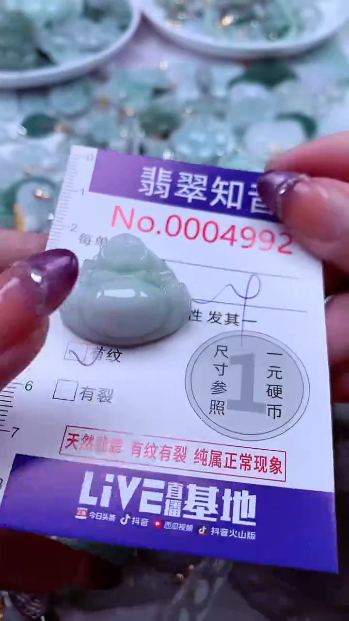 翡翠未镶嵌吊坠(不含链)4992