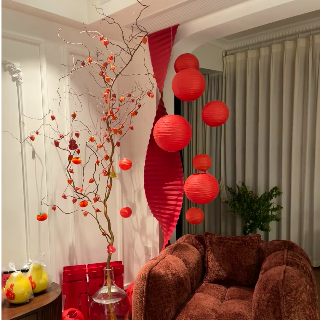 金灯树 | 金龙柳酸浆果鲜枝水培植室内大型好养绿植花卉鲜切枝