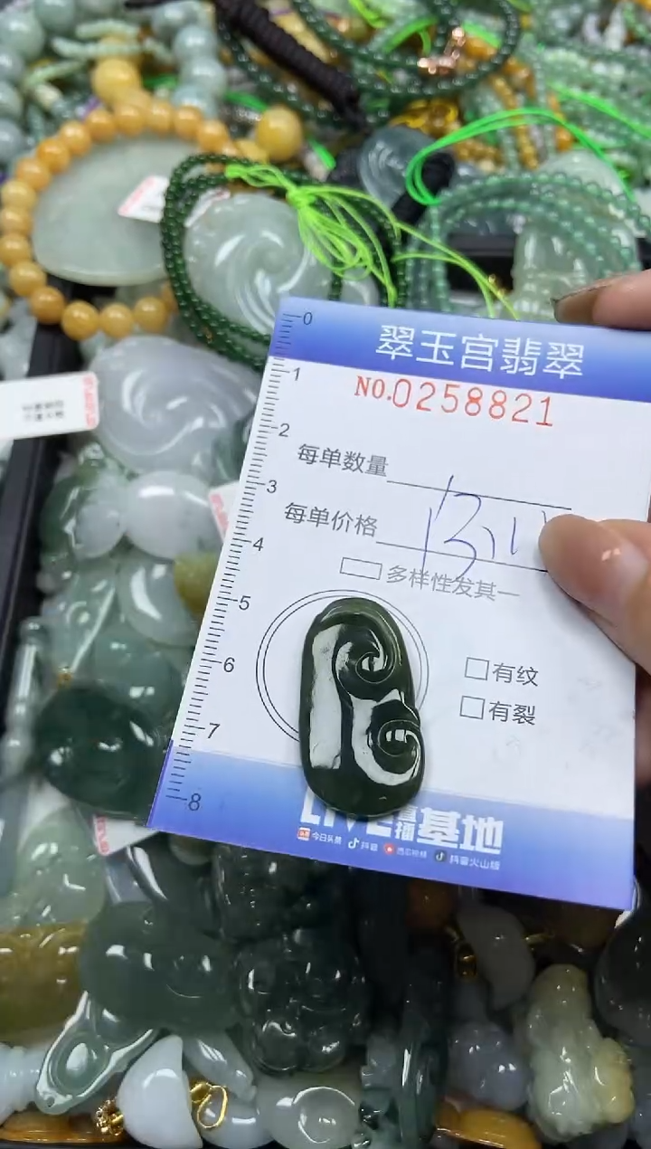 颈饰未镶嵌翡翠闪购C0258821