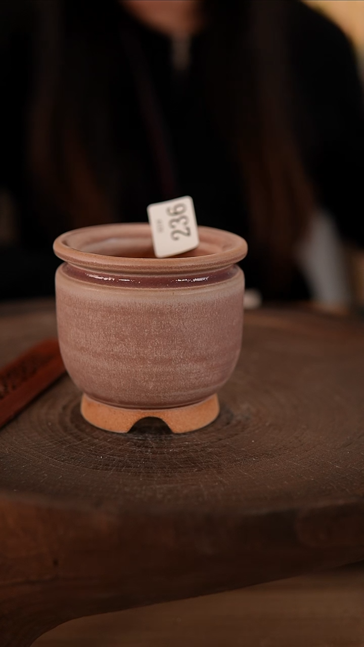 【闪购商品】陶瓷2-19-236默认有瑕口5.5