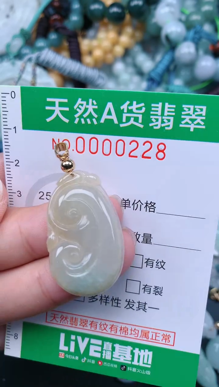 翡翠未镶嵌颈饰.0000228
