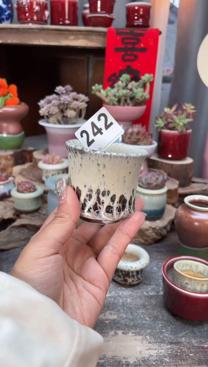 【闪购商品】摆件242知木小芳花盆