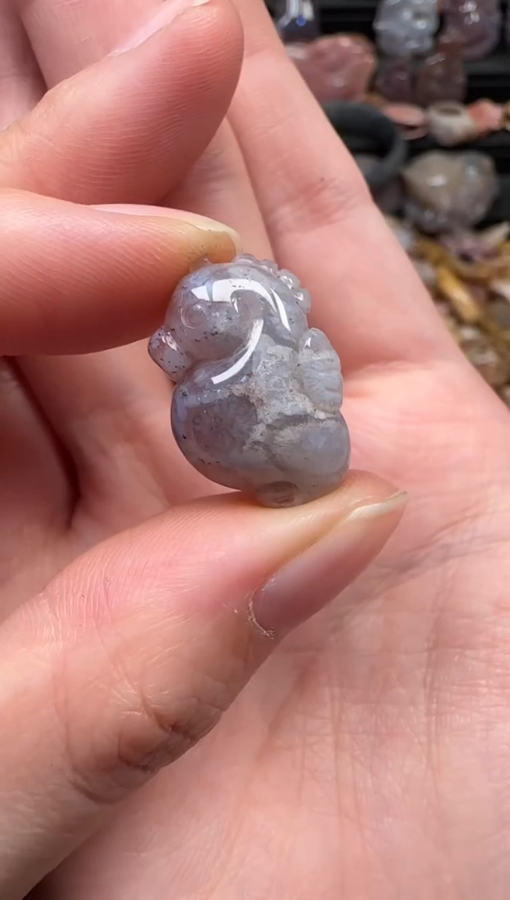 颈饰未镶嵌硅化珊瑚（珊瑚玉）181