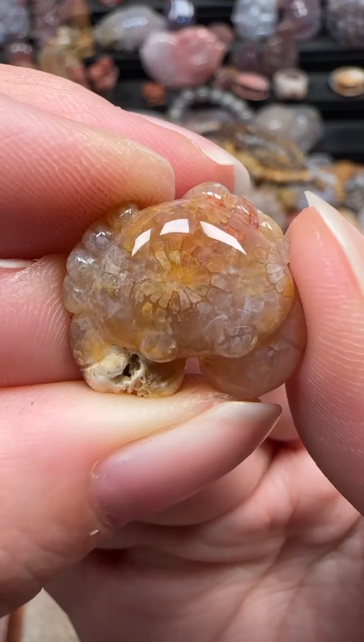 颈饰未镶嵌硅化珊瑚（珊瑚玉）078