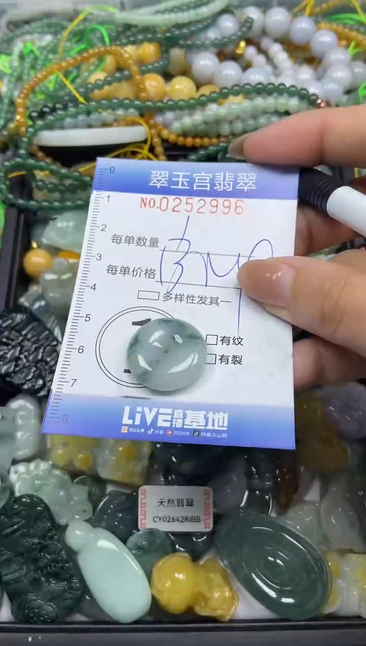 颈饰未镶嵌翡翠闪购C0252996