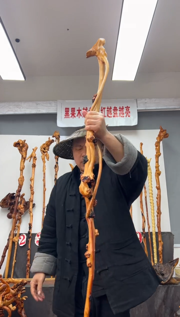 【闪购商品】黑果木其他黑果木741