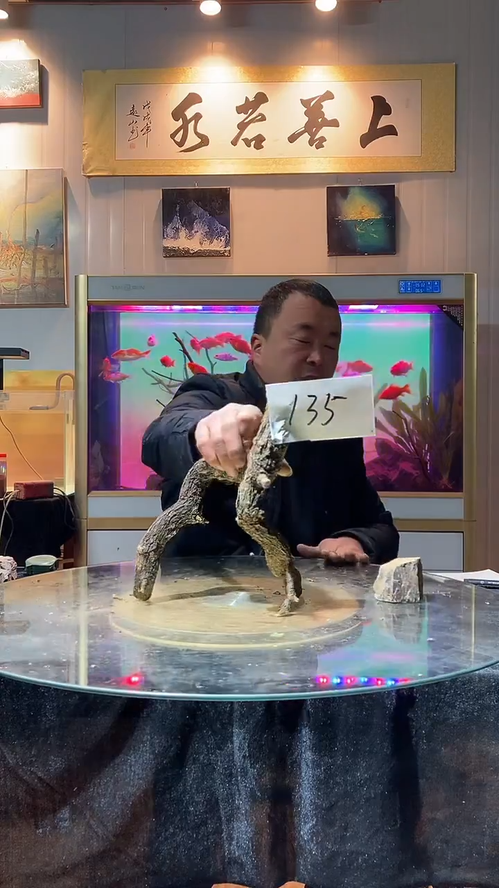 135号天然黄栎木