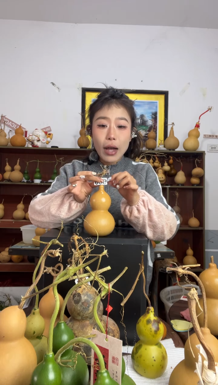 500天然葫芦摆件 一物一拍龙头不保售后