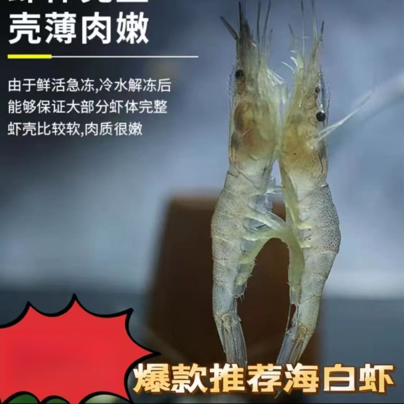 cd【5斤】海捕新鲜速冻小白虾 小虾 嫌小勿拍