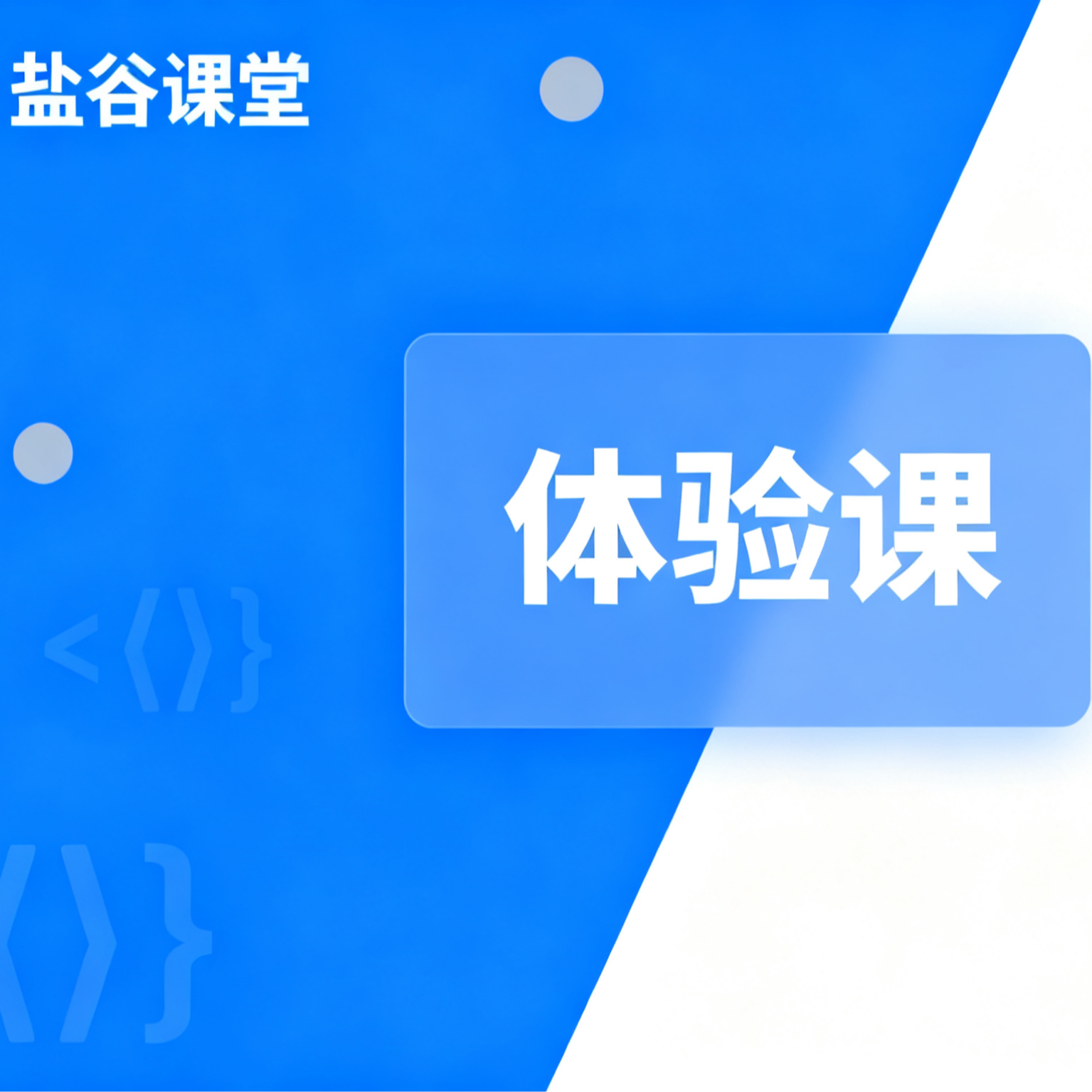 盐谷课堂python编程 从入门到实践体验课
