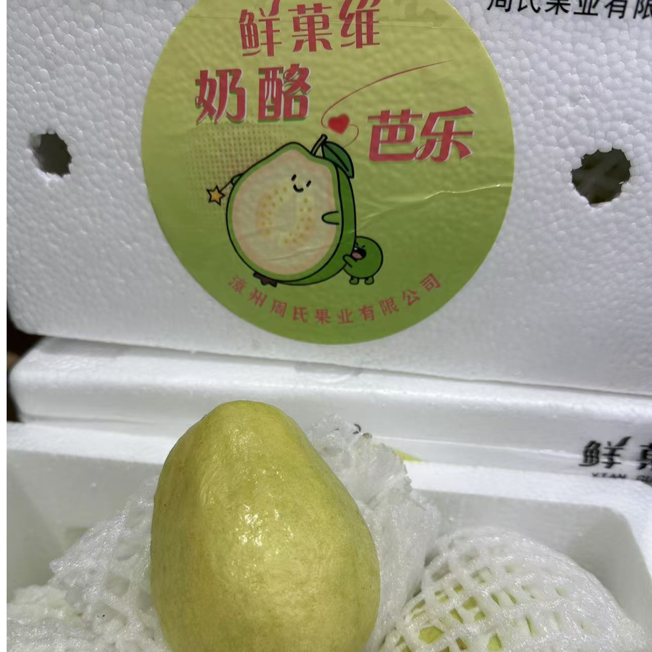 奶油芭乐 4斤/净果 【宇哥果仓】