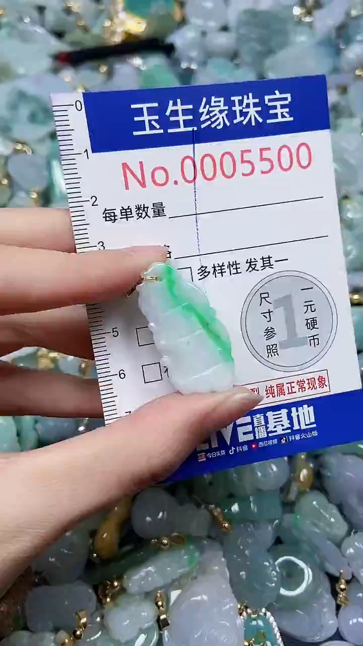 【闪购商品】翡翠颈饰未镶嵌闪购5500