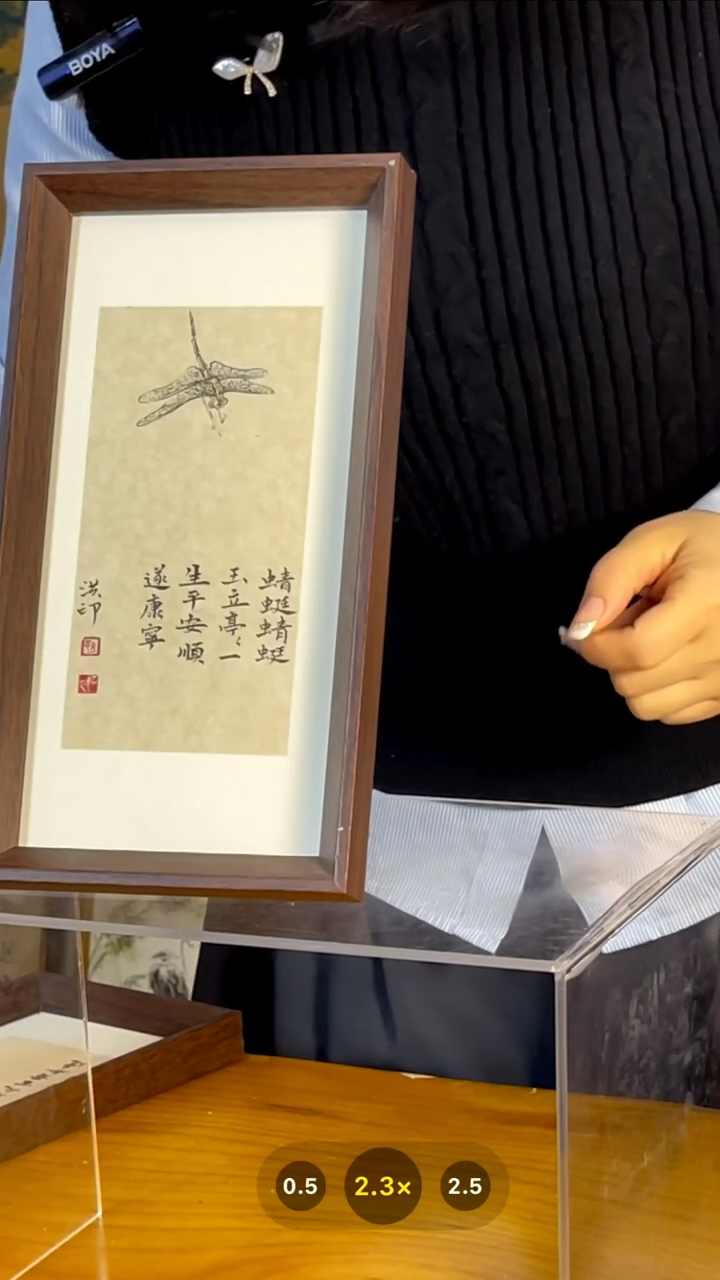 【闪购商品】书法【蜻蜓蜻蜓亭亭玉立】27*14