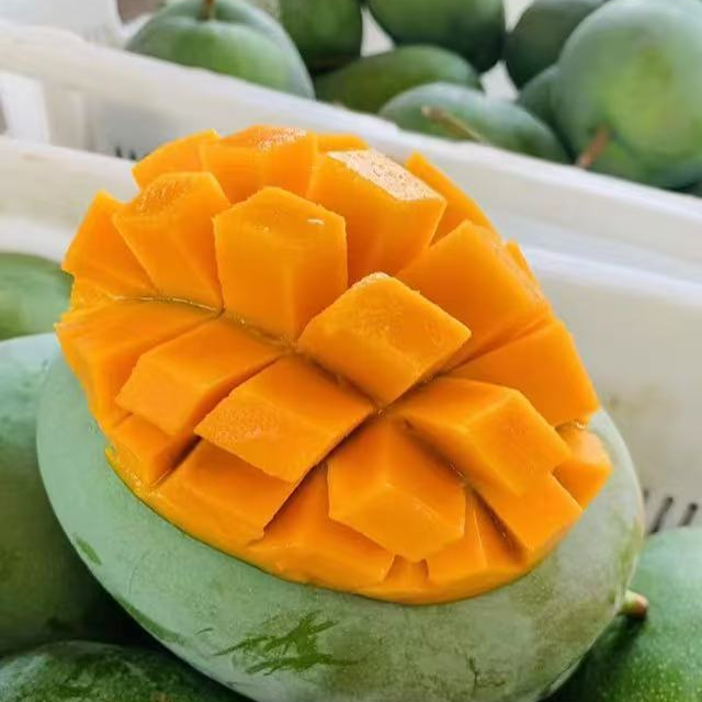 【新疆包邮】攀枝花青皮凯特芒新鲜应季水果芒果同城送四川省