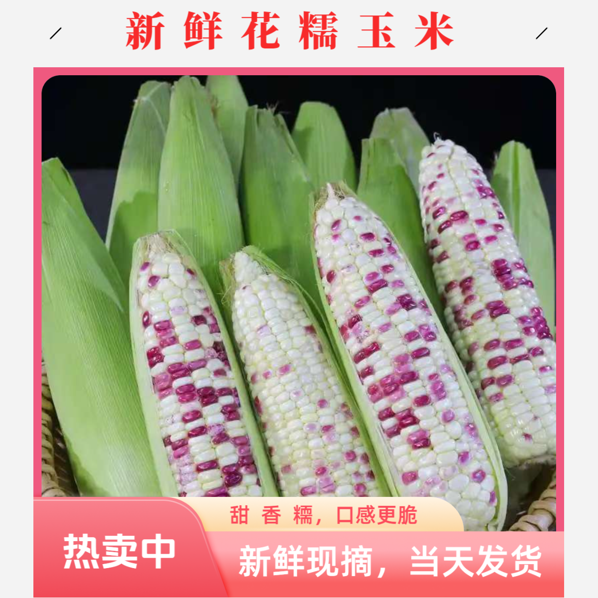当季苏北农家新鲜花糯玉米饱满甜糯带壳现摘蔬菜 玉米真的好吃