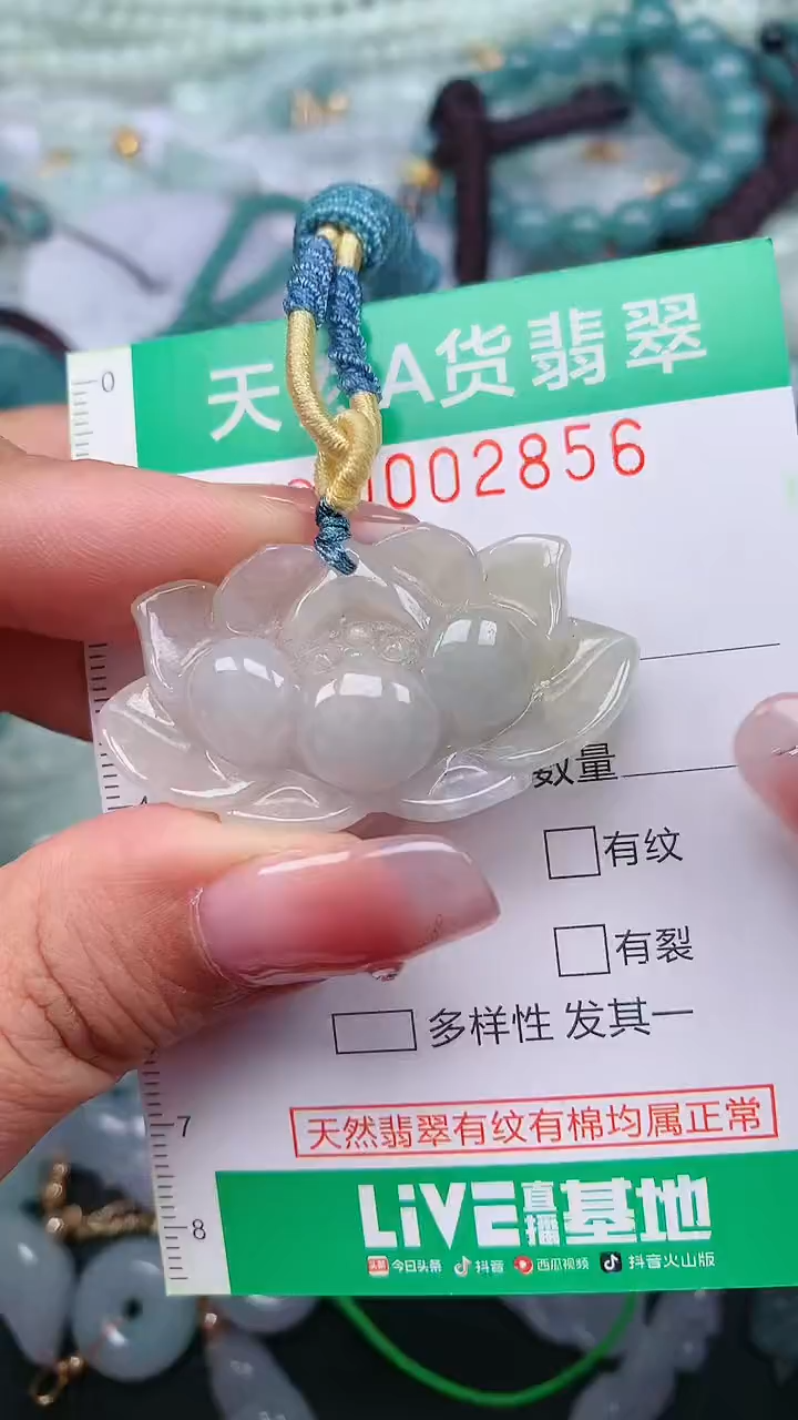 颈饰未镶嵌翡翠.0002856