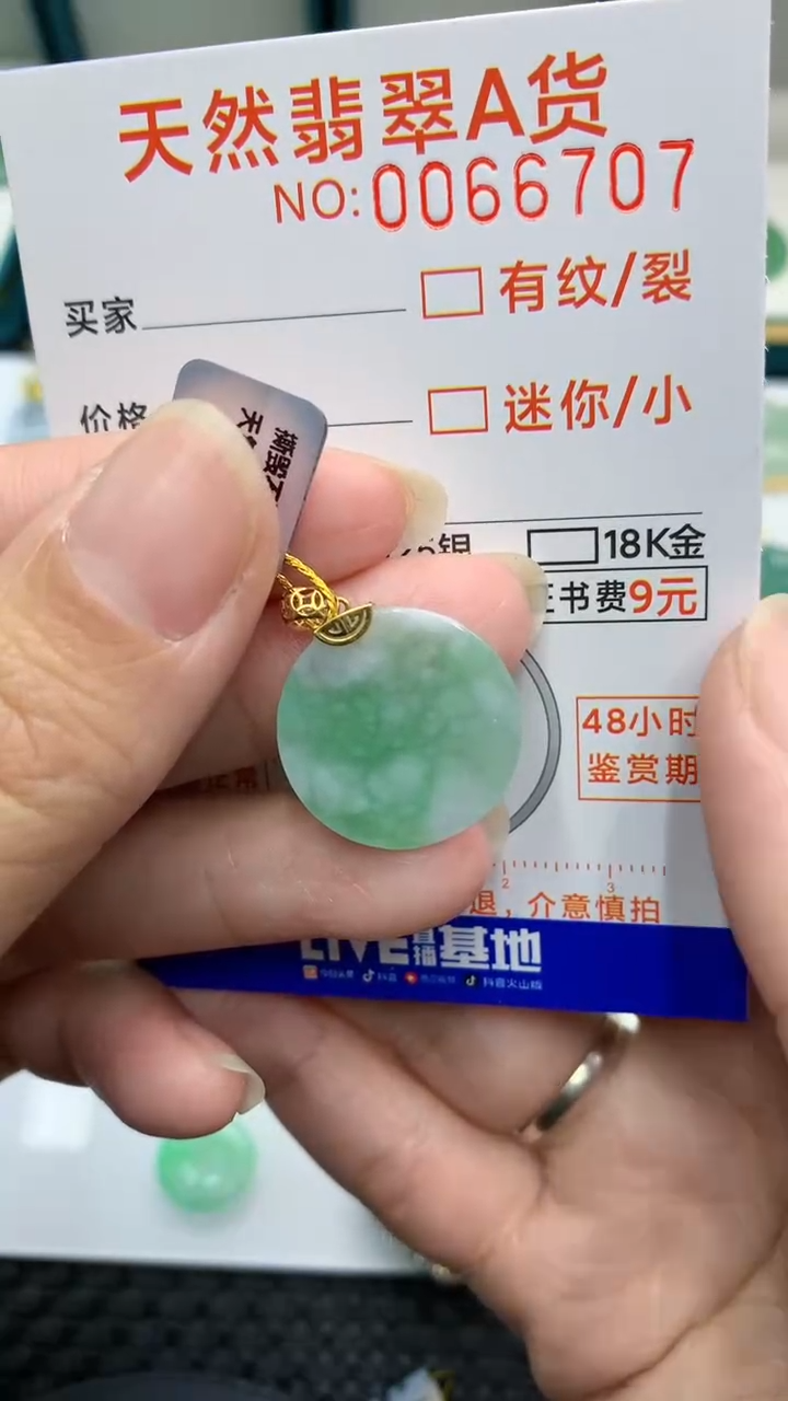 【闪购商品】翡翠颈饰18K金镶嵌            8