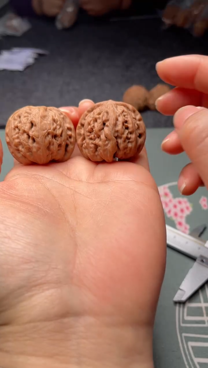 把件文玩核桃w209  九龙 36尺