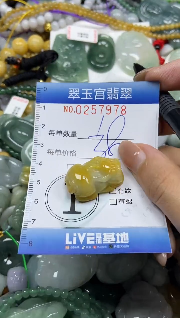 颈饰未镶嵌翡翠闪购C0257978