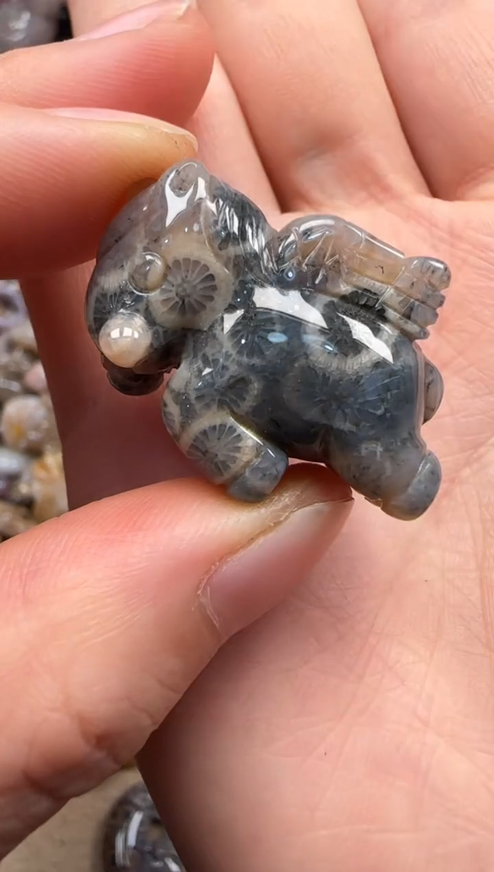 【闪购商品】硅化珊瑚（珊瑚玉）颈饰未镶嵌006