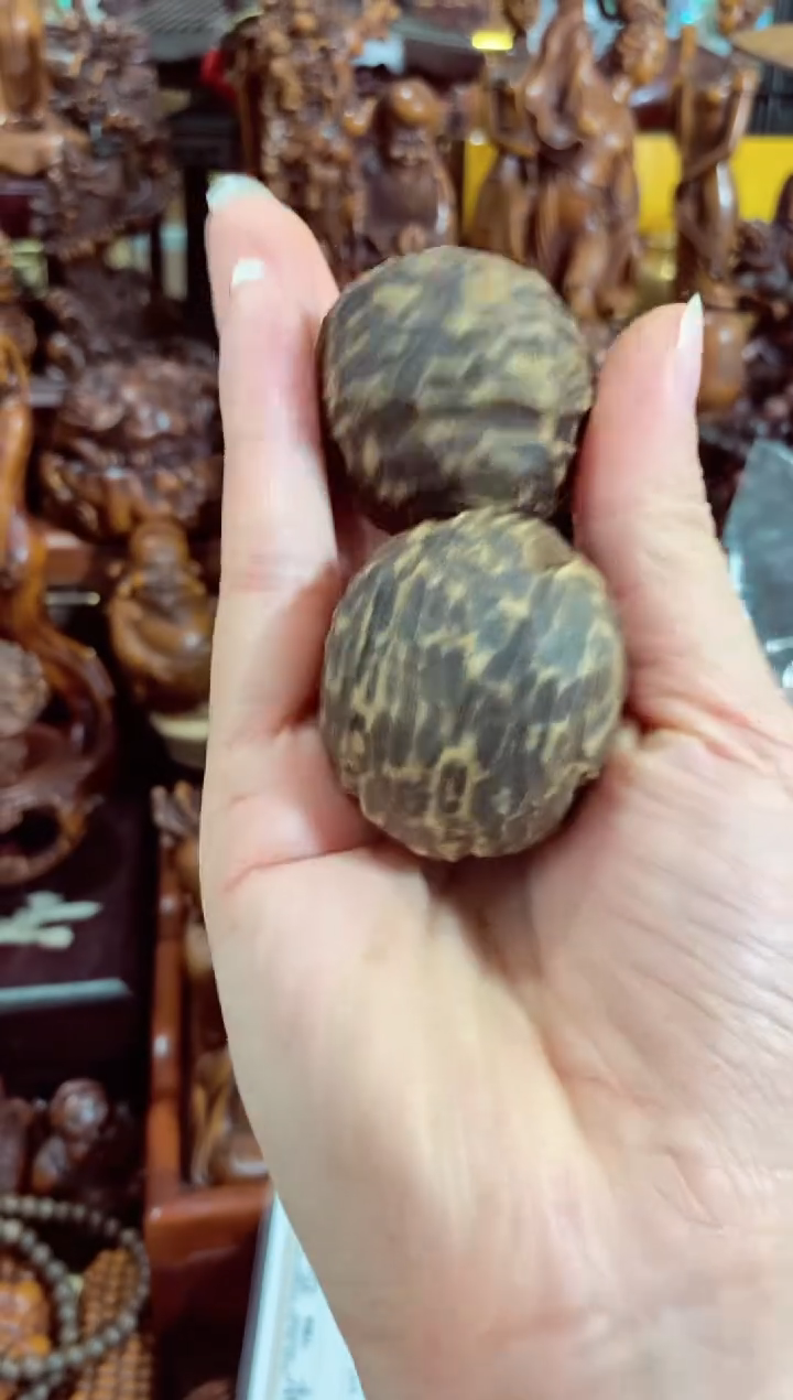 【闪购商品】木中之王漂亮的CX手球