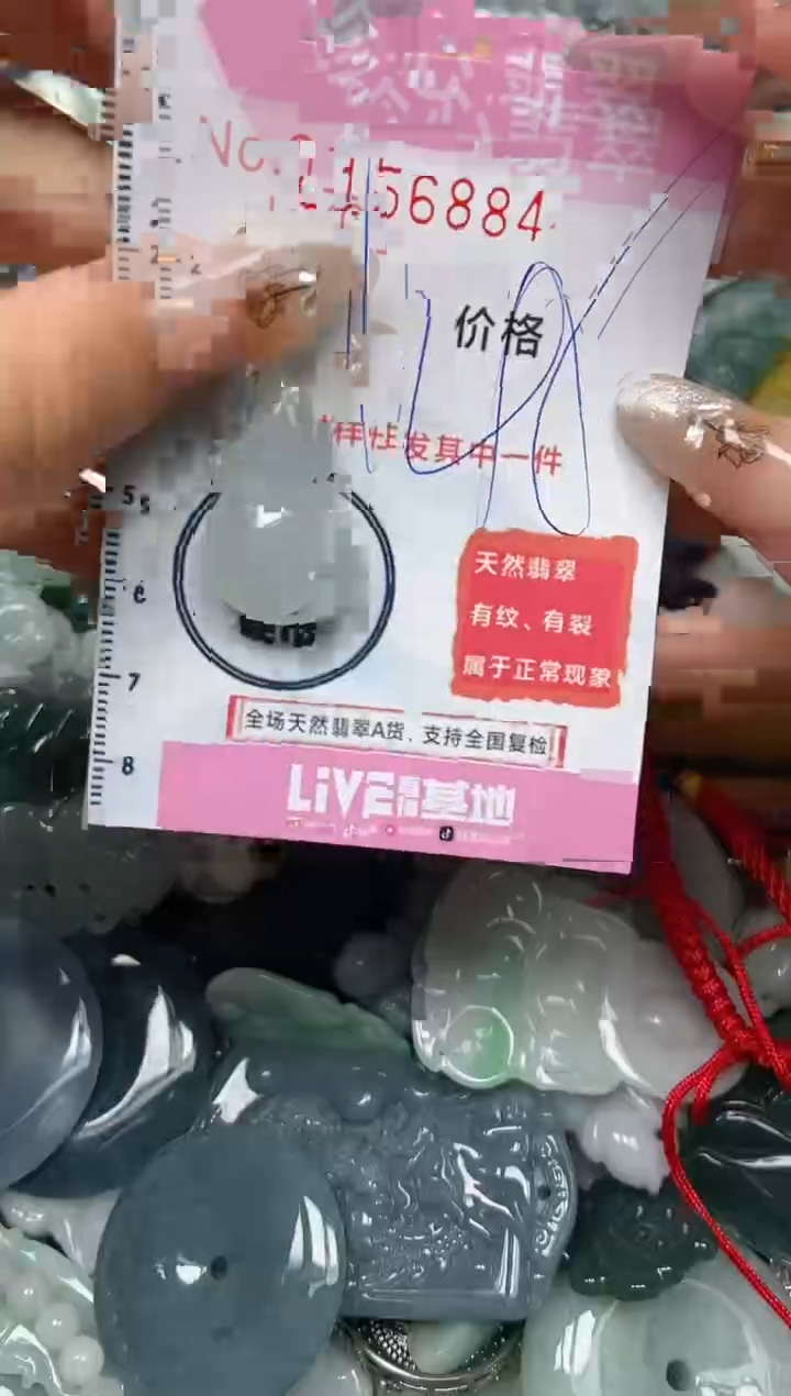 【闪购商品】翡翠颈饰未镶嵌闪购0156884