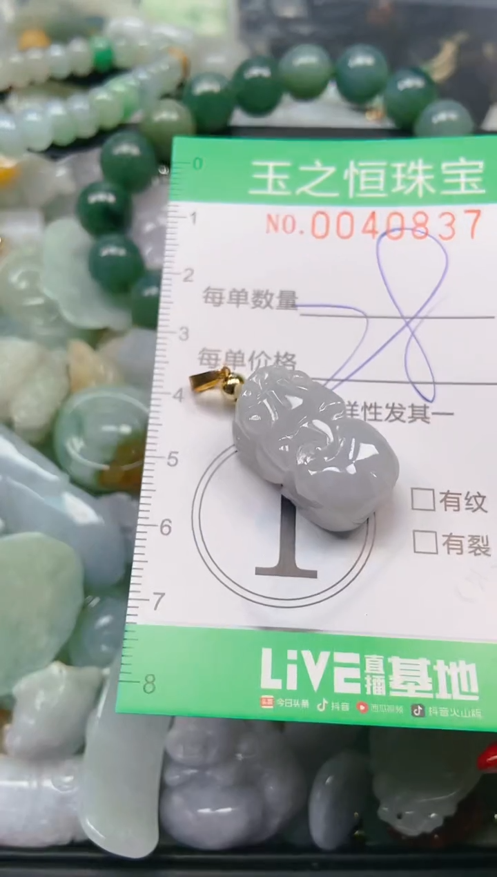 【闪购商品】翡翠颈饰未镶嵌闪购0040837