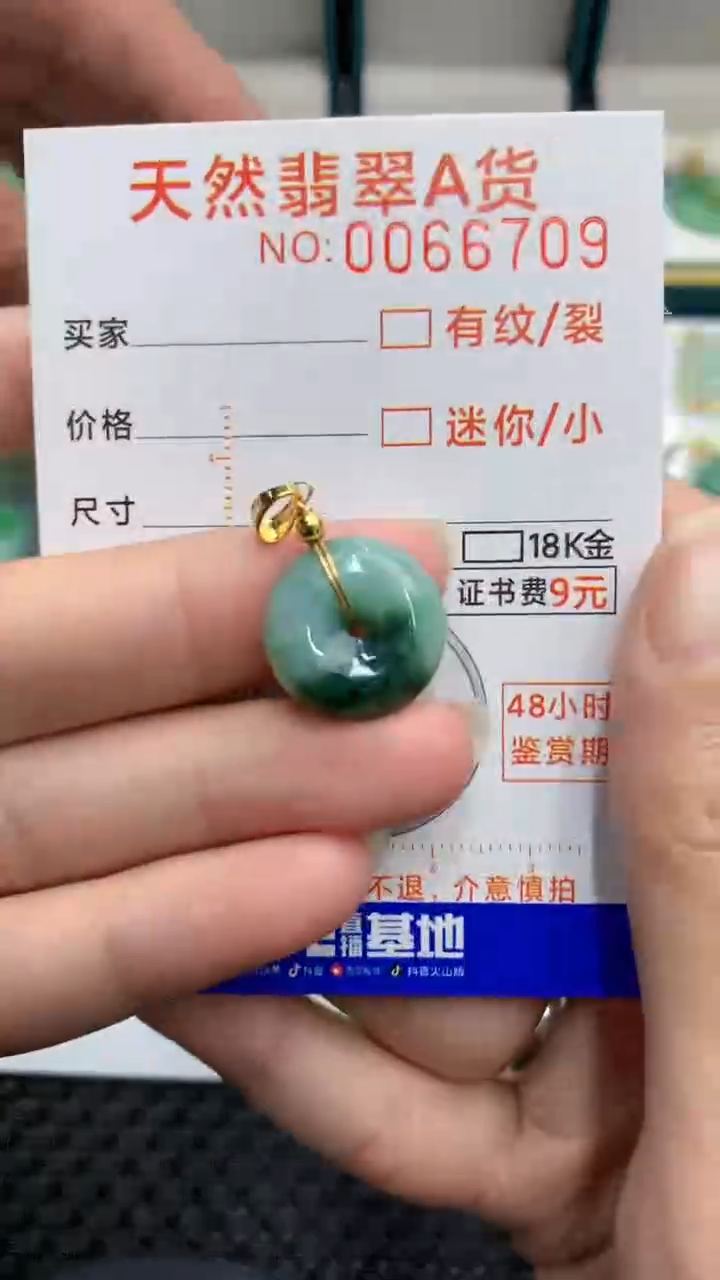 【闪购商品】翡翠颈饰未镶嵌            8