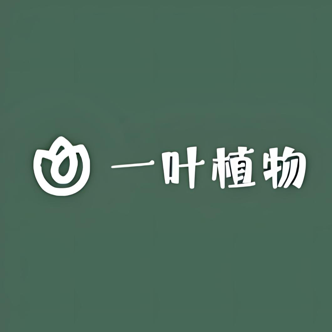 福利款秋海棠  一物一拍  无售后