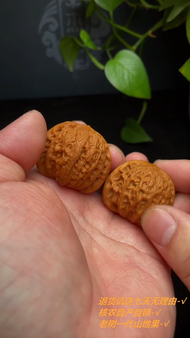 【闪购商品】文玩核桃把件铁锤妹妹40尺（微修，打底）