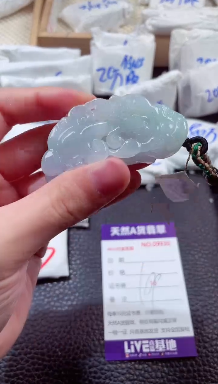 翡翠未镶嵌颈饰00009930