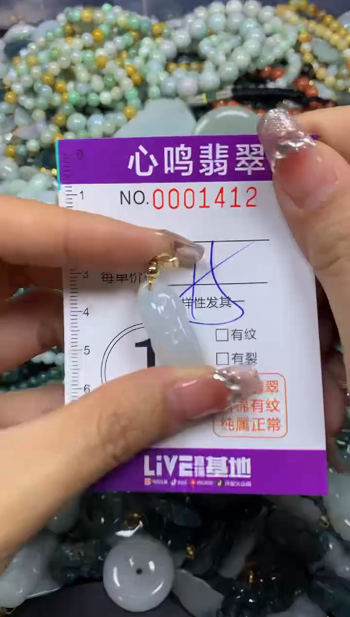 【闪购商品】翡翠颈饰未镶嵌闪购001412
