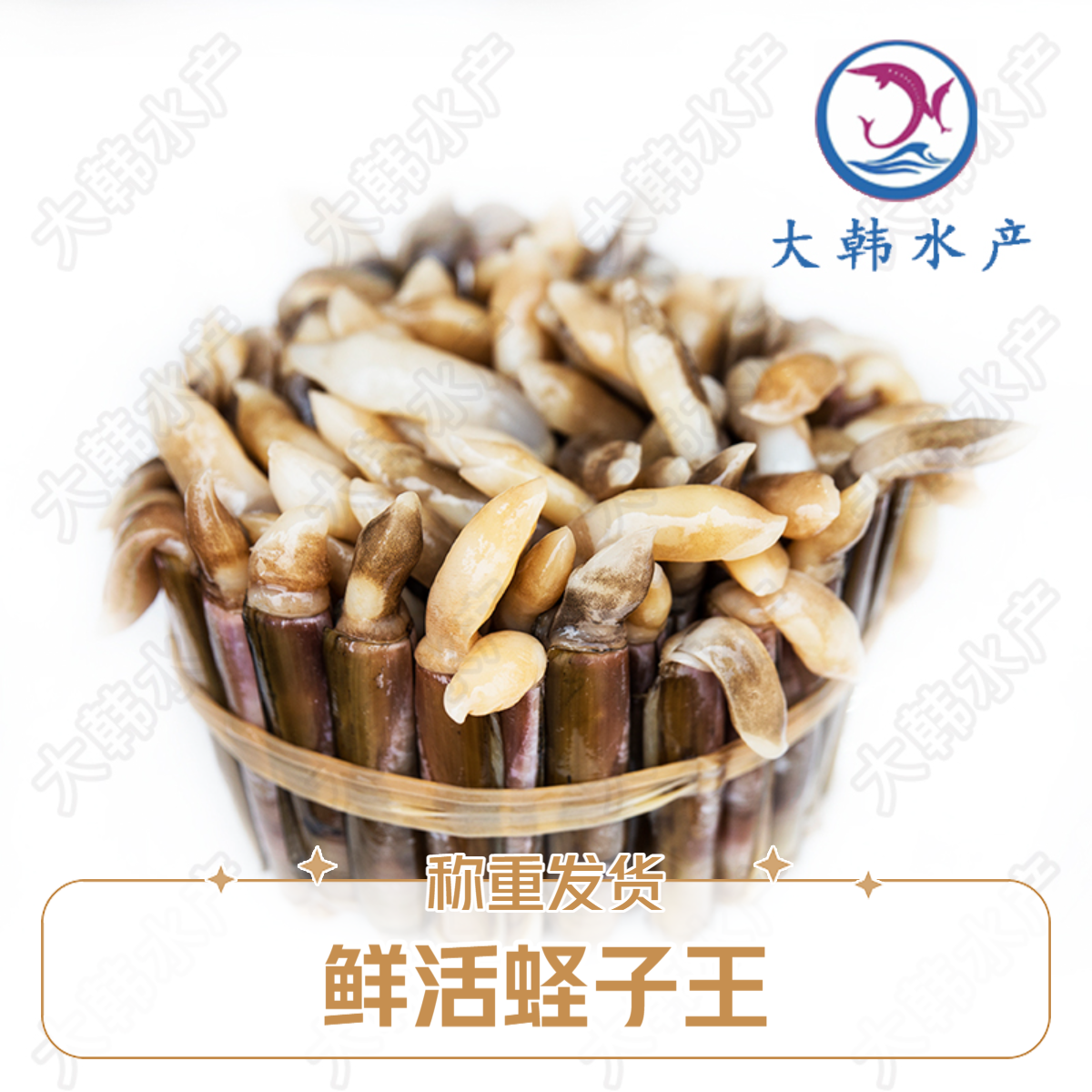 鲜活蛏子王 （称重发货）
