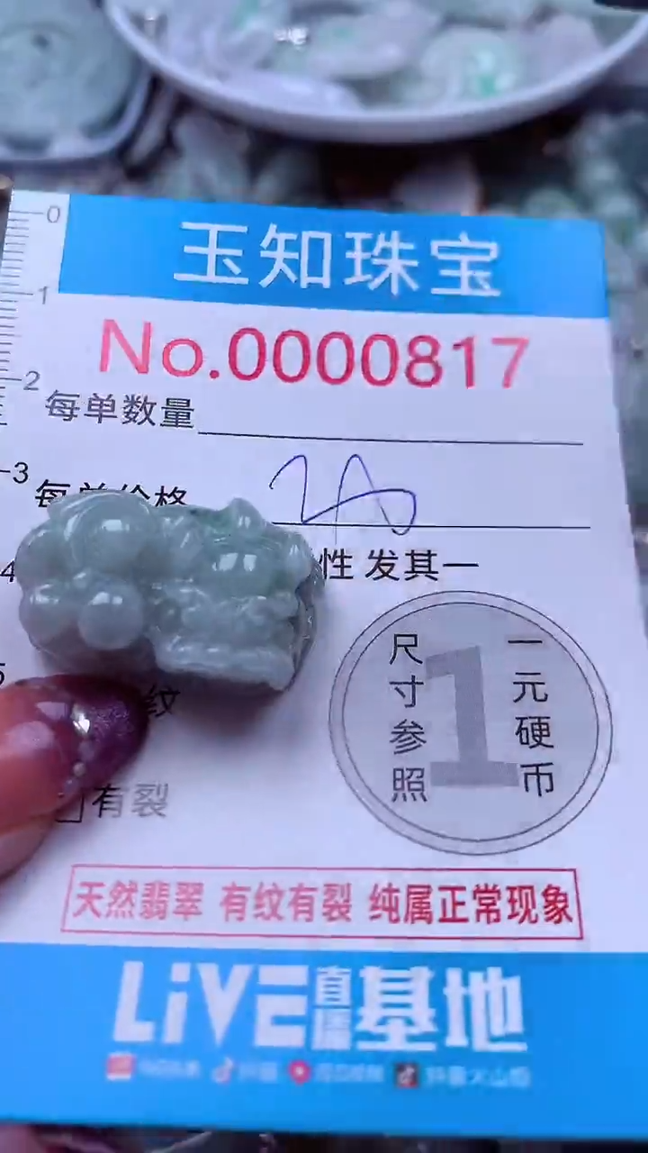 翡翠未镶嵌吊坠(不含链)817