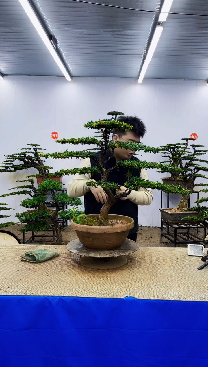 完全开放一物一拍，所见即所得