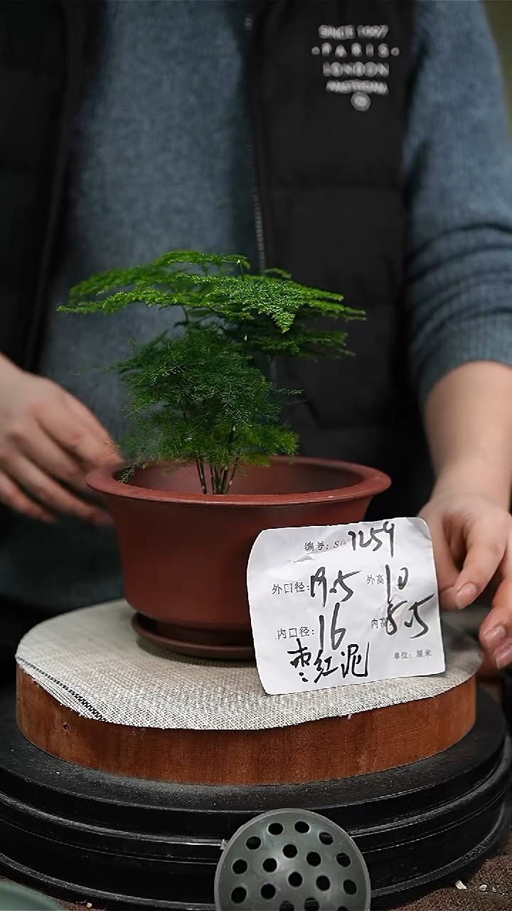 【闪购商品】紫砂花盆紫砂花盆7259+z