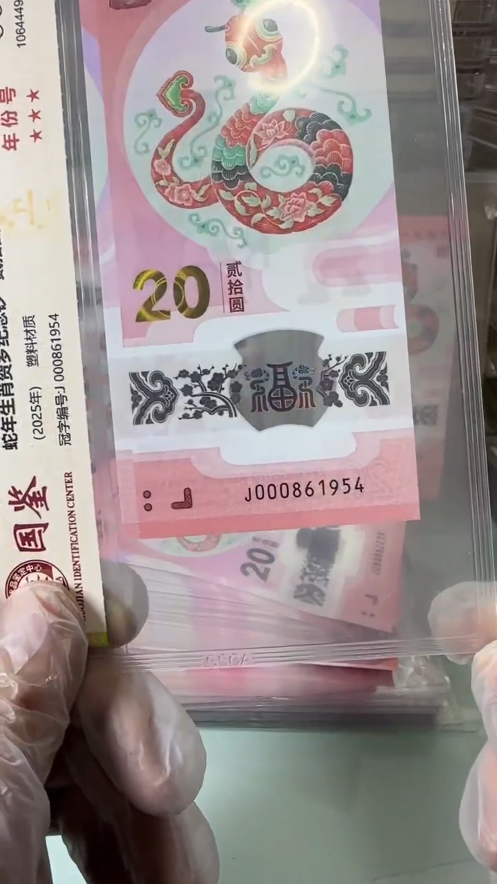 【闪购商品】塑料000861954-蛇钞单张！