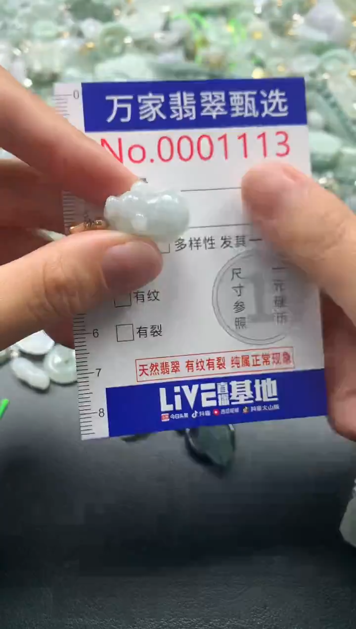 吊坠(不含链)未镶嵌翡翠1113