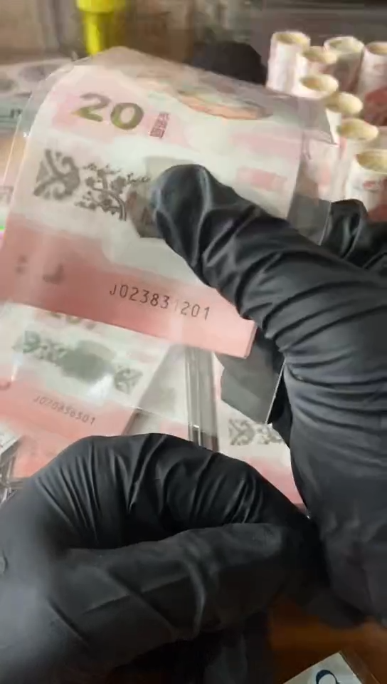 【闪购商品】蛇钞 如意王标十 020856501