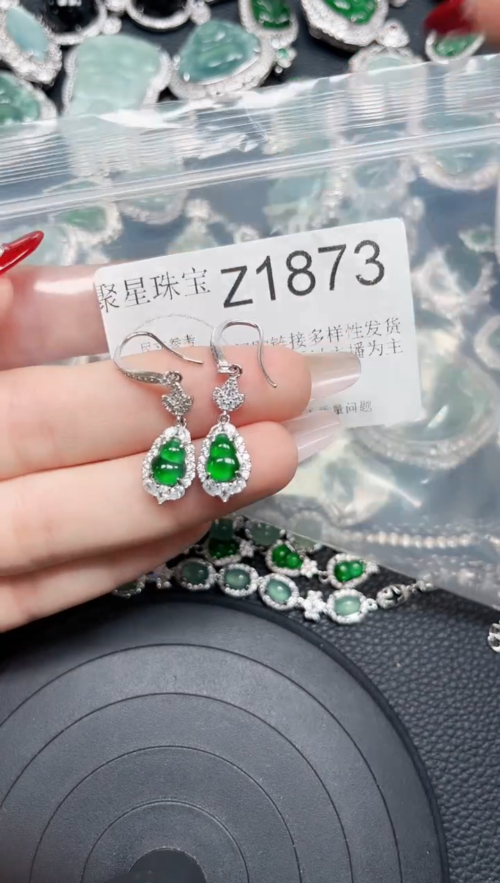 【闪购商品】翡翠颈饰未镶嵌赠皮绳1873