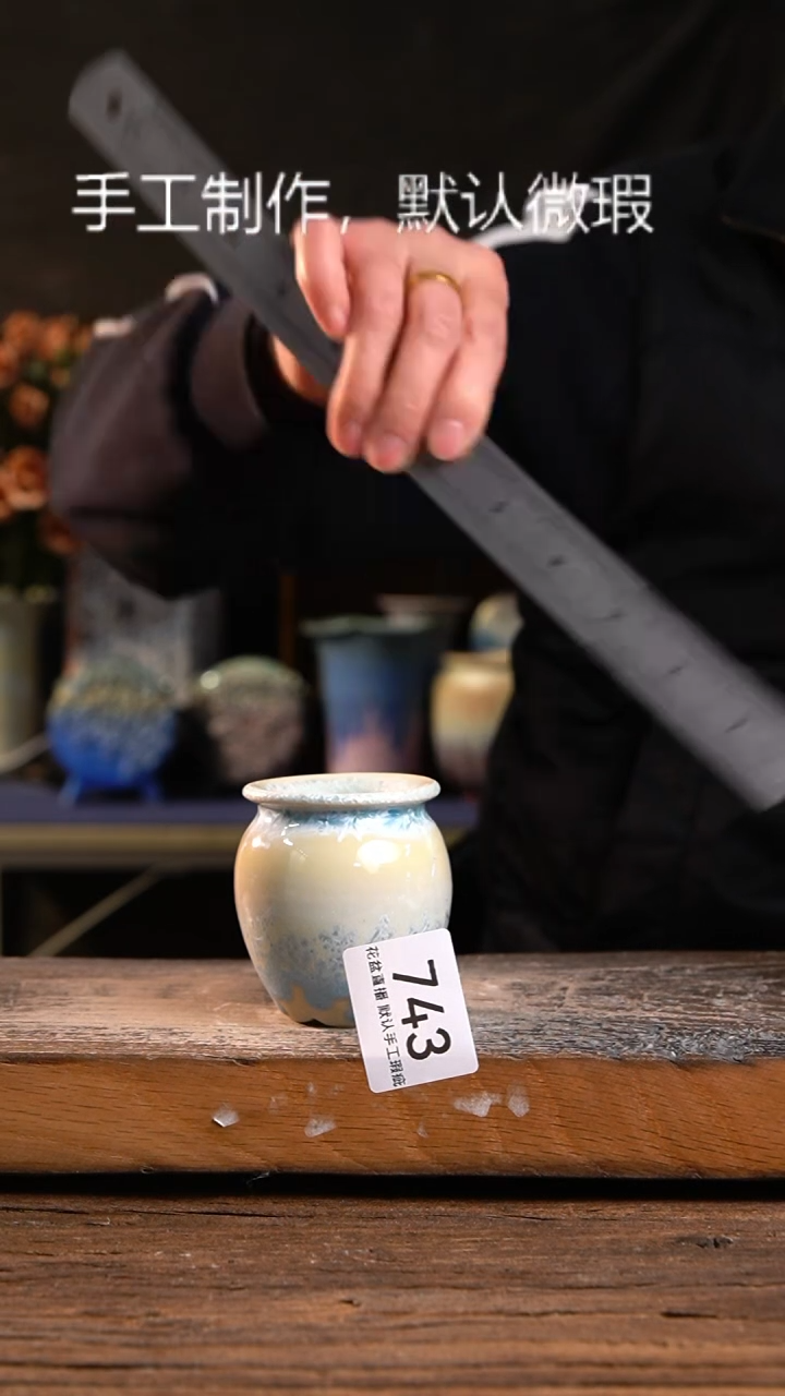 【闪购商品】陶瓷花盆