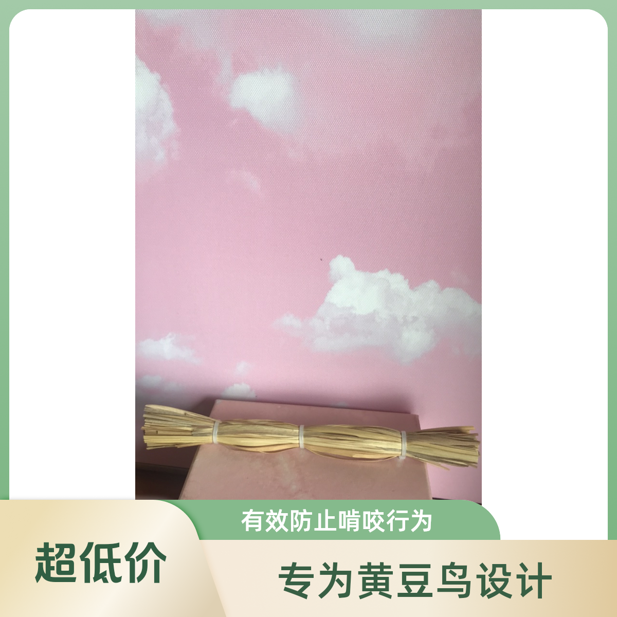 黄豆鸟黄腾鸟防捣毛 啃咬精神粮草