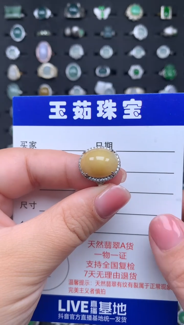 【闪购商品】翡翠颈饰银S925镶嵌234234