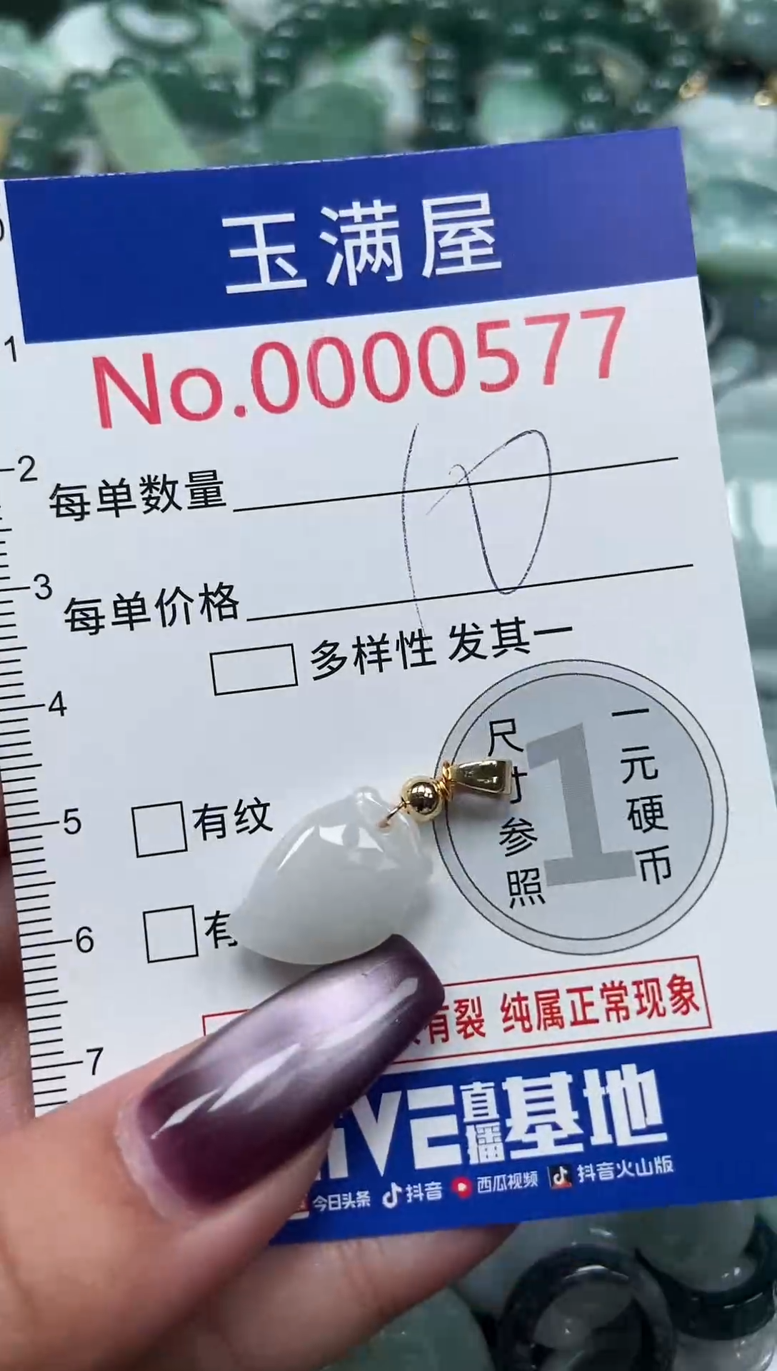 颈饰未镶嵌翡翠577