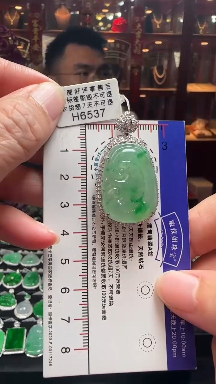 【闪购商品】翡翠颈饰18K金镶嵌H6537冰飘绿如意