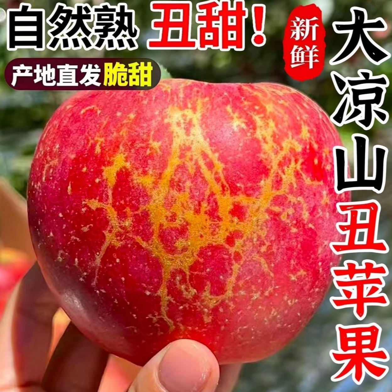 正宗四川大凉山冰糖心丑苹果  新鲜现摘脆甜多汁水果c