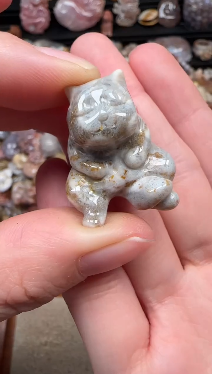 颈饰未镶嵌硅化珊瑚（珊瑚玉）557