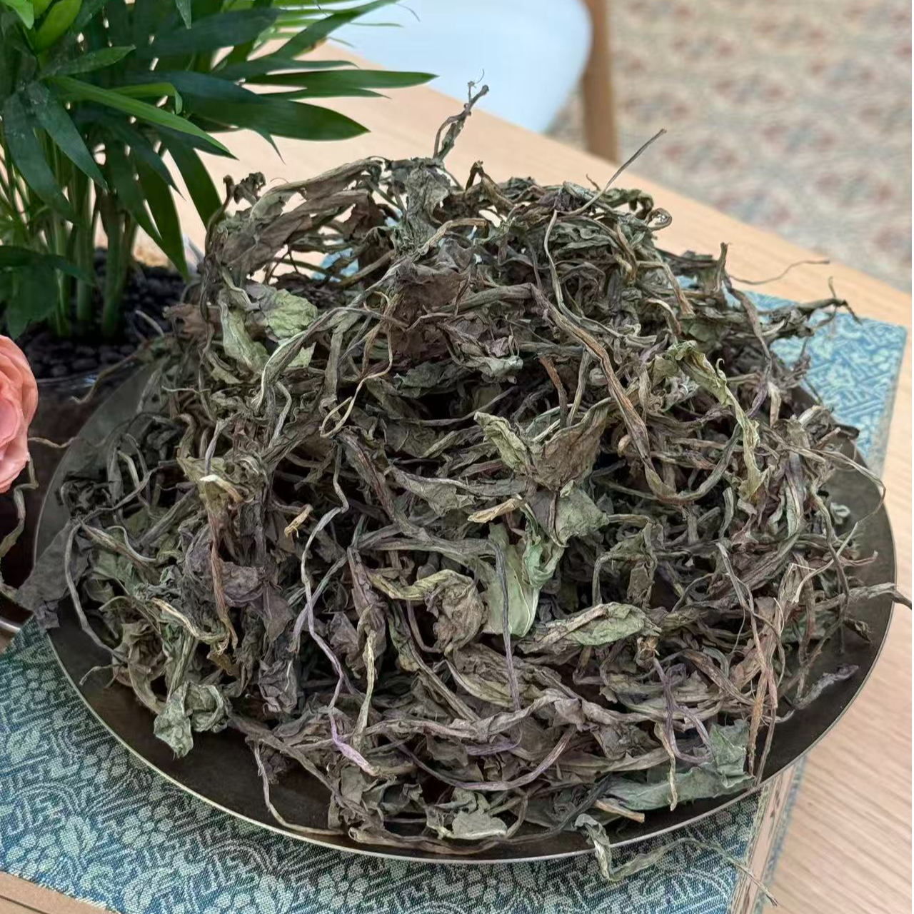 自然之道-蒲公英