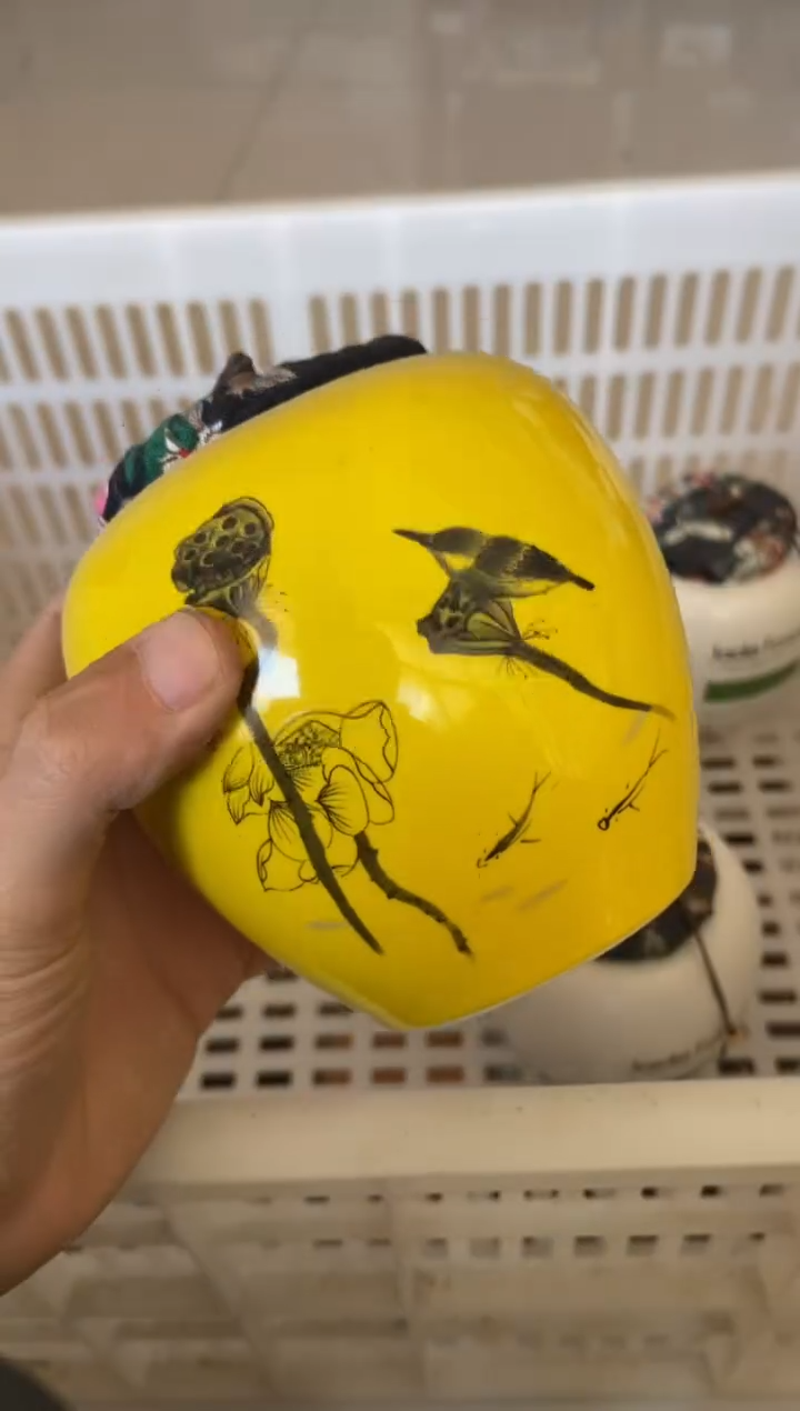 杯无运费险有瑕疵的摄影的产品有使用过的痕迹有点脏介意勿拍