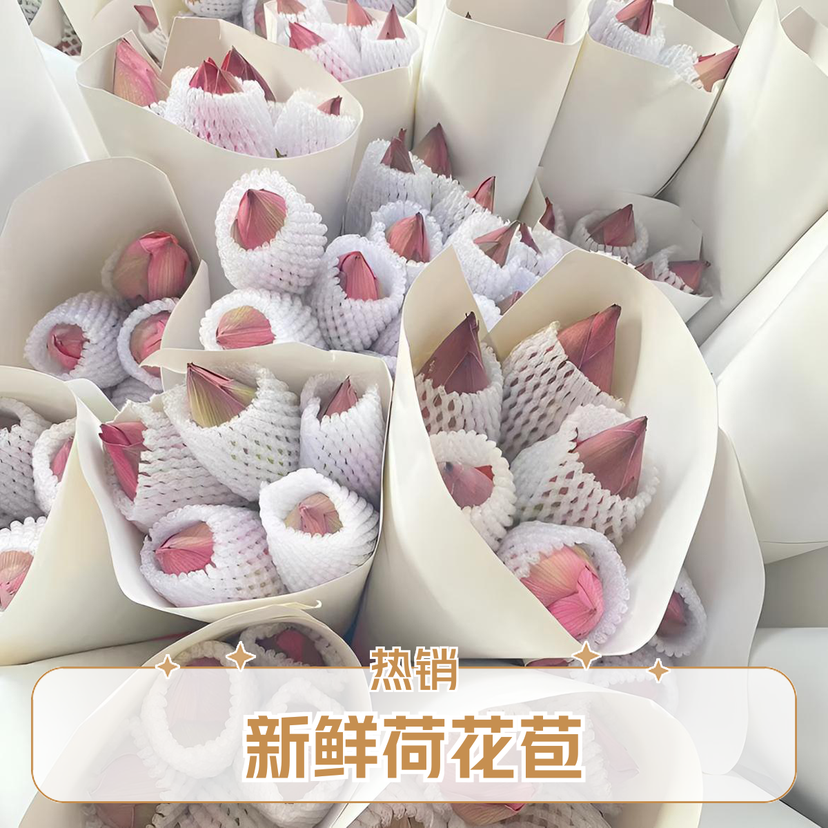 新鲜荷花苞鲜莲花鲜切花花材供佛观赏泡茶真鲜花花束可自制干花